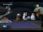 بطاريق مدغشقر