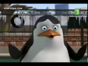 بطاريق مدغشقر