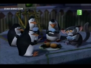 بطاريق مدغشقر