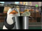 بطاريق مدغشقر