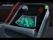 بطاريق مدغشقر