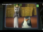 بطاريق مدغشقر