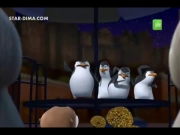 بطاريق مدغشقر