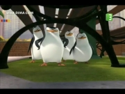 بطاريق مدغشقر