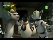 بطاريق مدغشقر