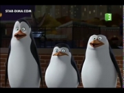 بطاريق مدغشقر