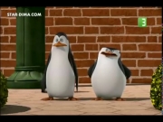 بطاريق مدغشقر