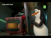 بطاريق مدغشقر