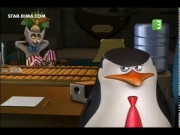 بطاريق مدغشقر