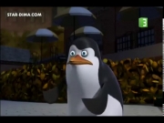 بطاريق مدغشقر