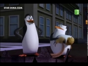 بطاريق مدغشقر