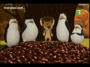 بطاريق مدغشقر