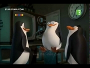 بطاريق مدغشقر