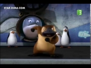 بطاريق مدغشقر