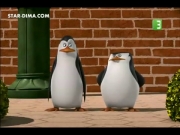 بطاريق مدغشقر