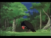 الغابة الخضراء