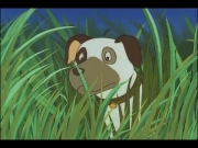 الغابة الخضراء