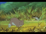 الغابة الخضراء