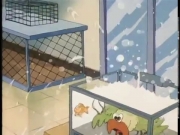 بسبوس الحارس الشجاع