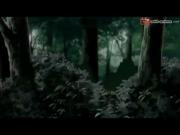 باكي الخطاف