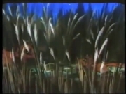 حياة البراري