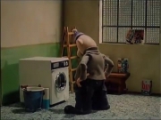 زينغو ورينغو