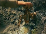 زينغو ورينغو