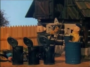 زينغو ورينغو