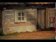 زينغو ورينغو