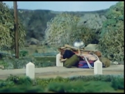 زينغو ورينغو