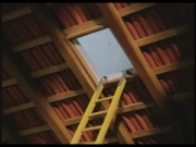 زينغو ورينغو