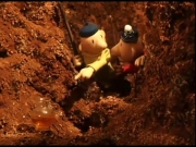 زينغو ورينغو