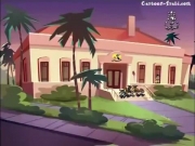 فريق الكانغو