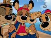 فريق الكانغو