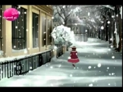 يارا