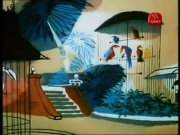 أجمل الحكايات