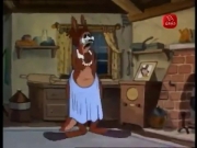 أجمل الحكايات