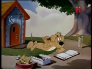 أجمل الحكايات