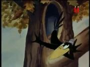 أجمل الحكايات