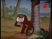 أجمل الحكايات