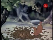 أجمل الحكايات