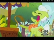 مهرتي الصغيرة