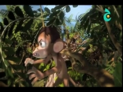 حكايات من الهند