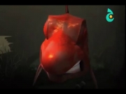 حكايات من الهند