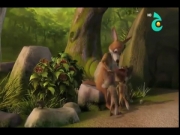 حكايات من الهند