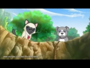 بابي إن ماي بوكيت