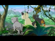 بابي إن ماي بوكيت