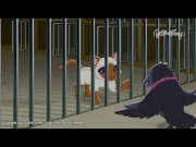 بابي إن ماي بوكيت