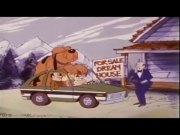 مغامرات دنكي