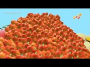 فراولة وصديقاتها